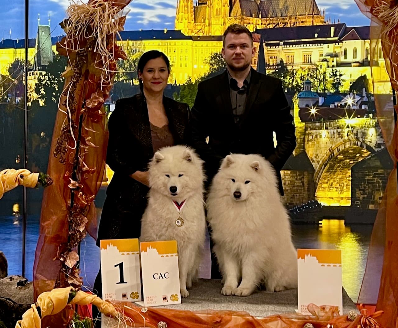 Dogshow cover