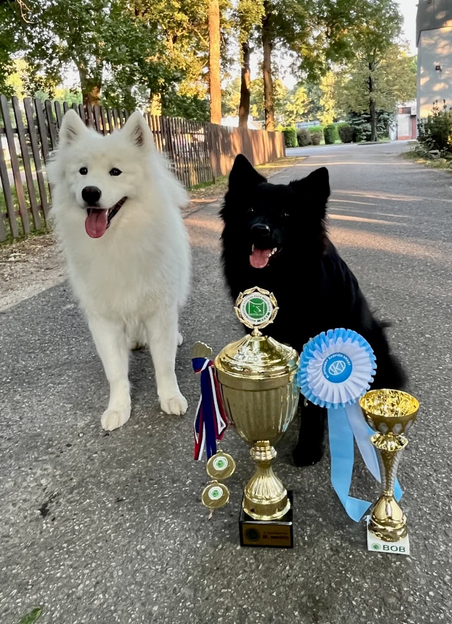 Monster Mazel champions